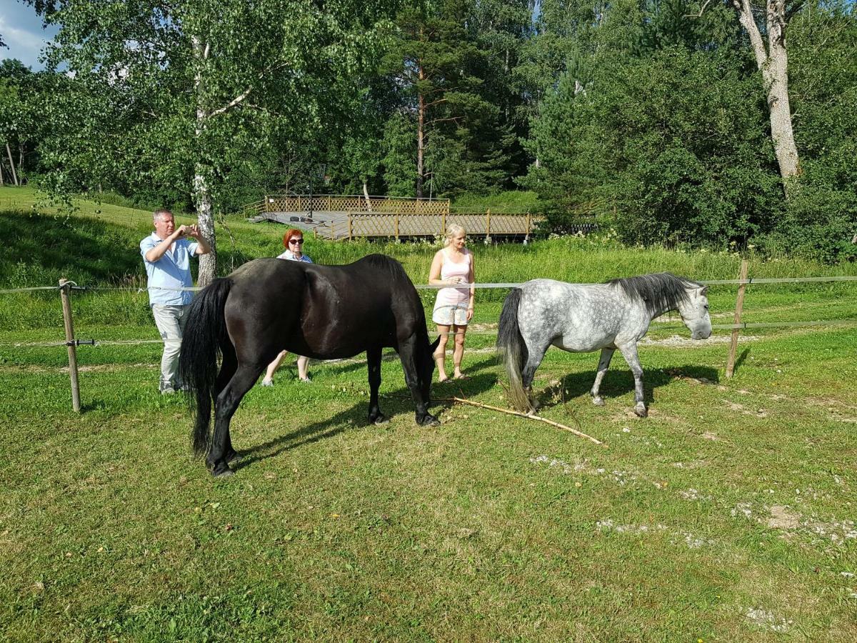 Soomaa Canoe Trips Centre Tohera Kültér fotó